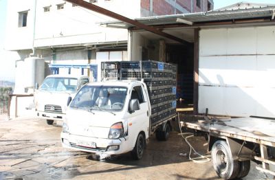 Bienvenue au site web AINSAR ABATTAGE